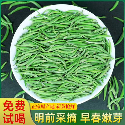 雀舌绿茶2026新茶明前嫩芽特级贵州湄潭翠芽毛尖绿茶叶清香型罐装
