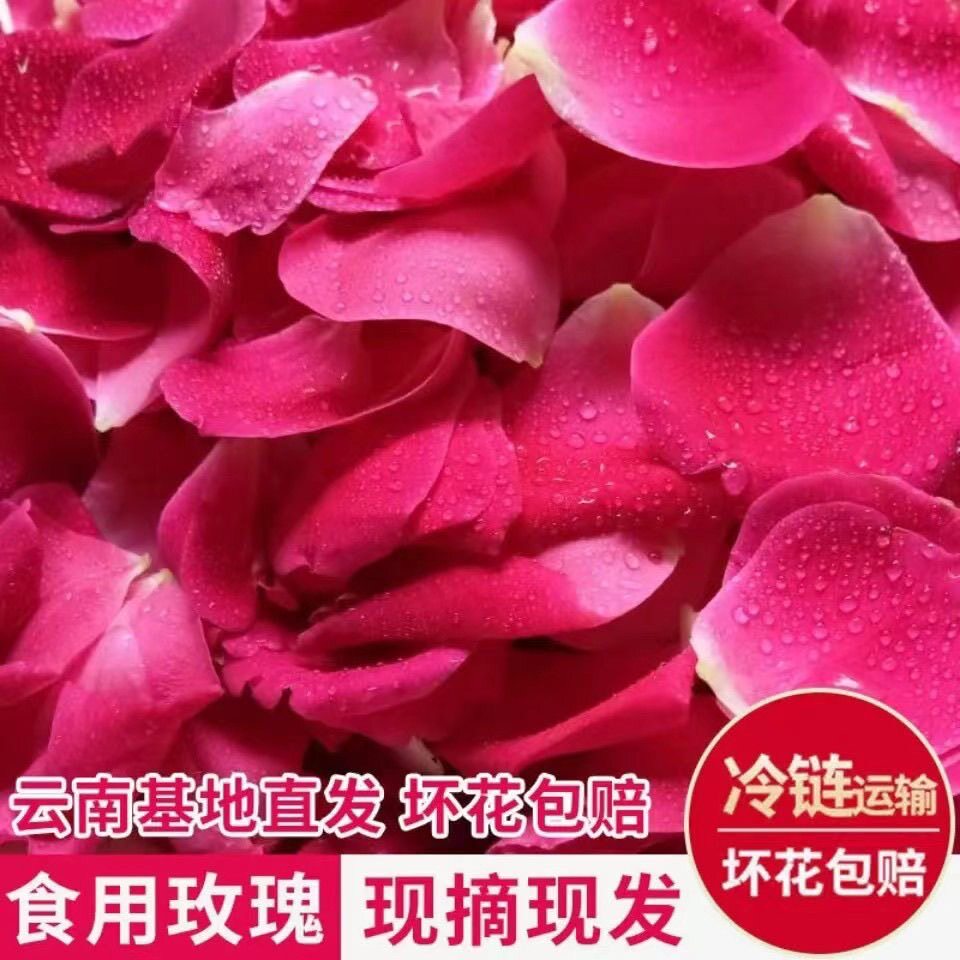 农产品云南可食用玫瑰滇红新鲜花瓣热卖2斤酱醋酒顺丰空运包邮