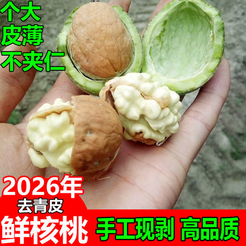 高品质薄皮鲜核桃湿核桃手工现剥