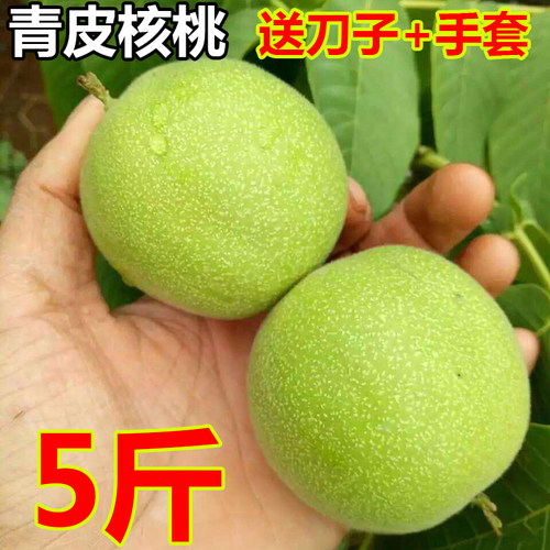 26年青皮核桃纸皮新鲜湿核桃