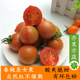 包邮 5斤现摘 孕妇水果3 春桃柿子新鲜圣女果樱桃小番茄西红柿组合