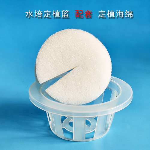 福凯绿景大号水培花卉定植篮海绵