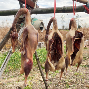 徽州风干咸鹅 腌制茅山盐l老鹅 腊鹅 青草鹅老腊肉咸肉闲鸭