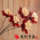 云南红莲天然干花家居店铺酒吧客厅餐厅装 饰艺术落地花插莲花荷花