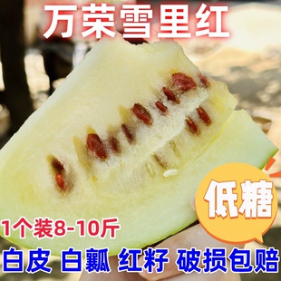 7月5日发货单个顺丰包邮8-10斤山西万荣雪里红白皮红籽低糖西瓜非