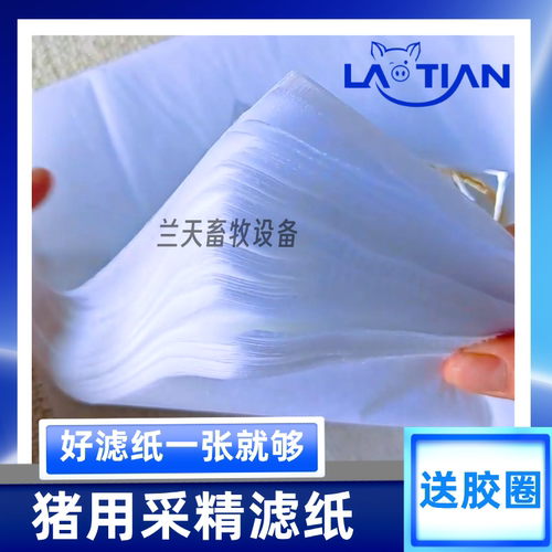 猪用采精过滤纸带胶圈