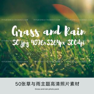 高清阳光草丛草地草坪与雨滴水滴照片平面网页设计背景jpg素材包2