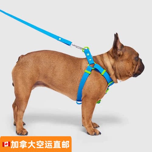 Canadapooch防水狗胸背肩带