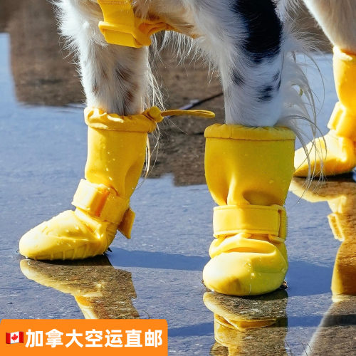 加拿大直邮宠物狗防水防滑雨鞋