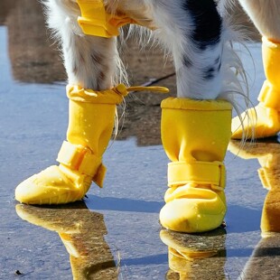 加拿大代购直邮Canada pooch cp宠物狗防水雨鞋防滑