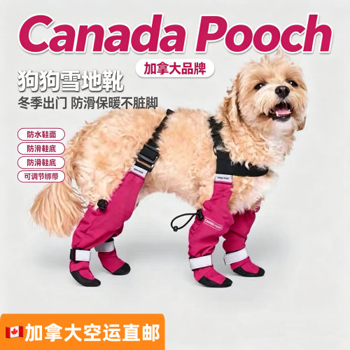 宠物狗防水防掉防脏鞋