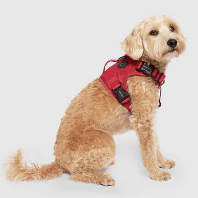 加拿大代购直邮Canada pooch cp全带宠物狗胸背牵引绳防脱胸背衣