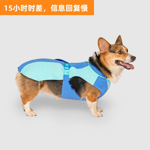 CanadaPooch宠物狗防晒衣狗衣服