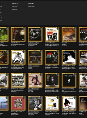 2xHD 古典 爵士 流行 DSD Hires HDtrack 數字音源代購