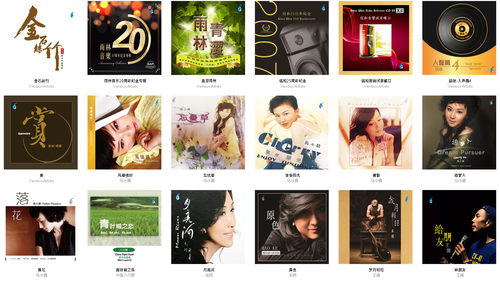 雨林 天艺 16bit 無損 發燒人聲 數字版專輯 Qobuz 音源 代購