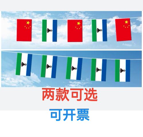 7米8号中国莱索托国旗串旗挂旗吊旗装饰小旗子莱索托小国旗