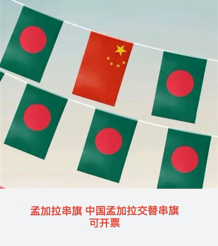 7米8号中国孟加拉国旗串旗挂旗吊旗装饰孟加拉国小国旗小旗子