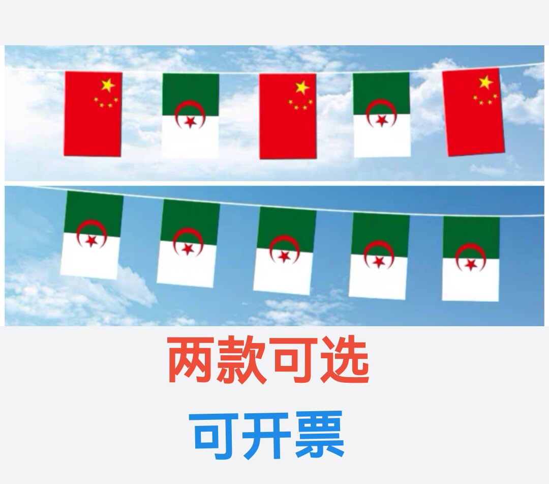 7米8号中国阿尔及利亚国旗串旗挂旗吊旗装饰小旗阿尔及利亚小国旗
