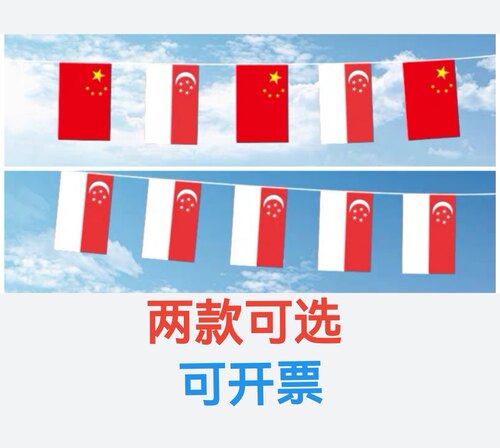 7米8米7号8号中国新加坡国旗串旗户外飘旗挂旗吊旗新加坡小国旗
