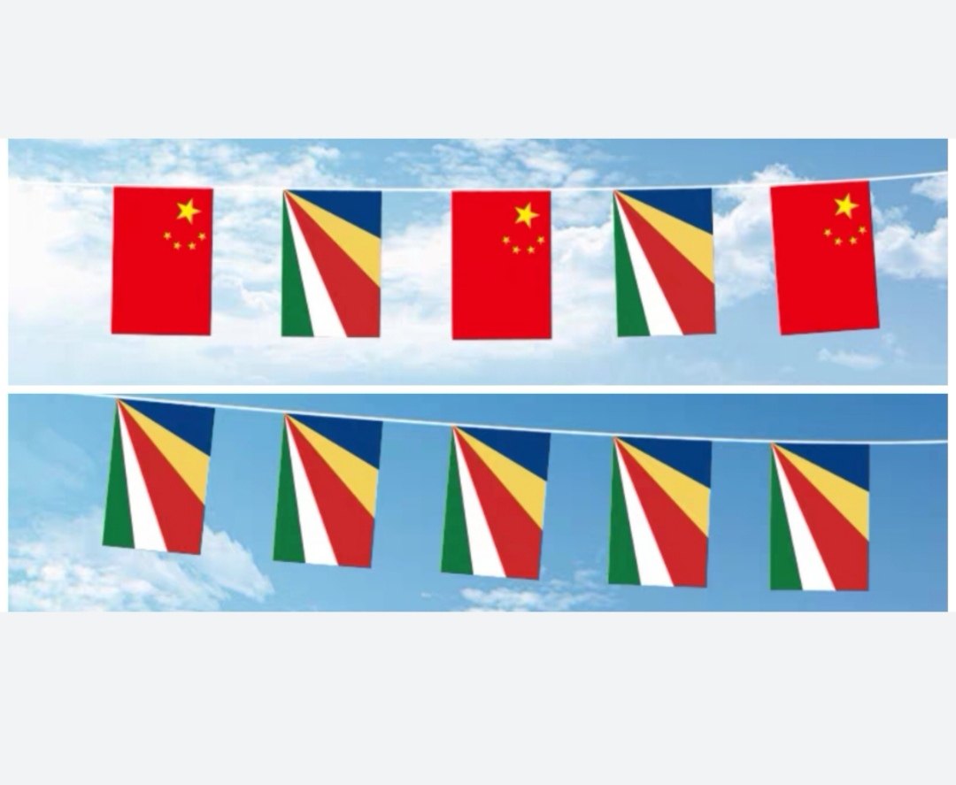可开票5米8号塞舌尔国旗串旗中国交叉串旗吊旗小旗子小国旗