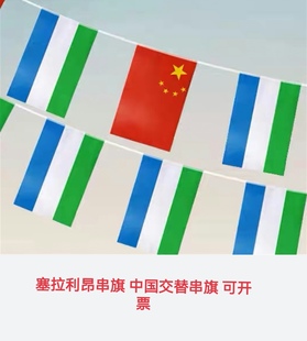 5米8号塞拉利昂国旗串旗中国塞拉利昂交叉串旗挂旗小旗子小国旗