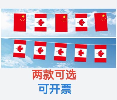 5米8米加拿大国旗户外旗办公室装饰串旗挂旗吊旗加拿小国旗
