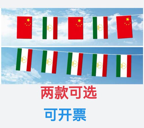 7米8号中国塔吉克斯坦国旗串旗挂旗吊旗装饰小旗子塔吉克小国旗