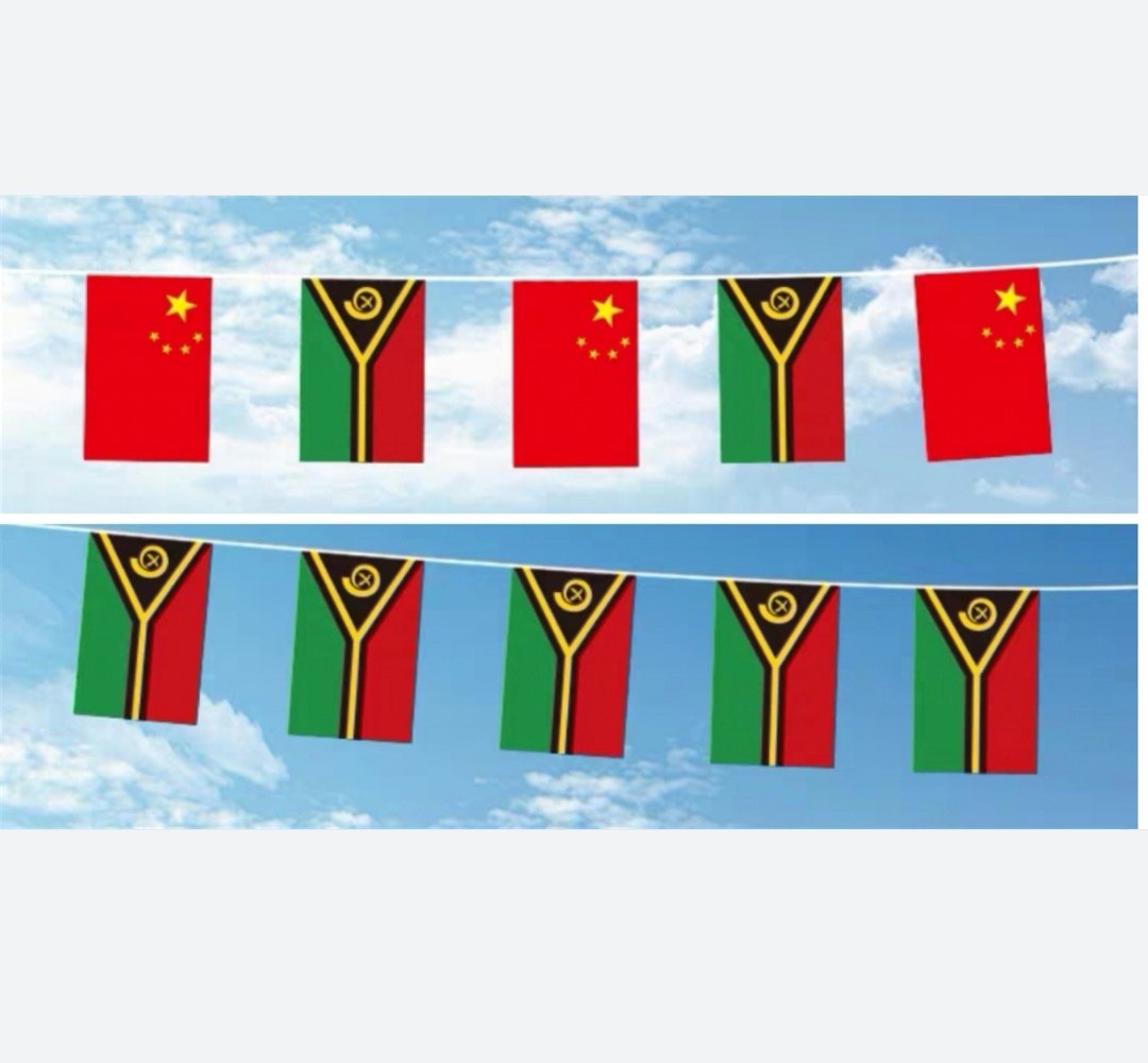 可开票5米8号瓦努阿图国旗串旗中国交叉串旗挂吊旗小旗子小国旗