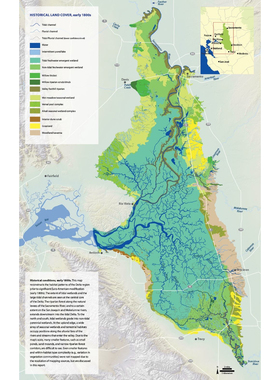 landsat sentinel modis遥感指数NDVI EVI FVC RSEI指数计算代做