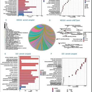 Ingenuity Pathway Analysis IPA数据库研发医学生物生信分析代做