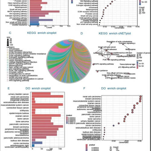 Ingenuity Pathway Analysis IPA数据库研发医学生物生信分析代做
