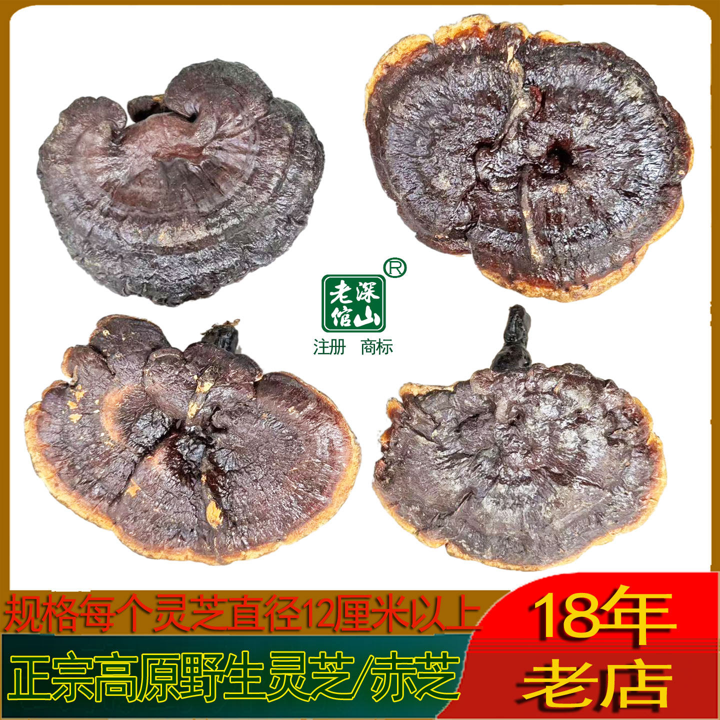 双皇冠信誉老店传承正宗特大野生灵芝紫芝赤芝精选一斤新货包邮