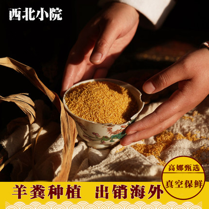 【羊粪种植】米脂黄小米农家自产2025新小黄米 杂粮粥陕北月子米