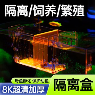 荧光鱼缸隔离盒加厚亚克力隔离盒板小鱼苗繁殖盒珊瑚小丑鱼孵化盒