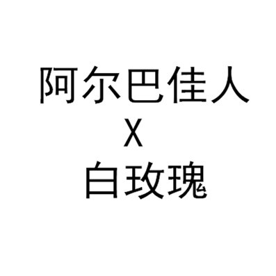 小柚子园艺2024年多肉杂交种子 阿尔巴佳人杂白玫瑰