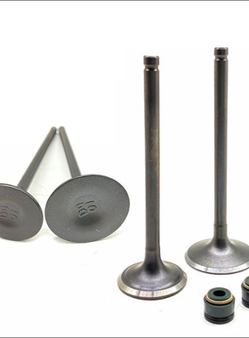 宗申CB250白板发动机华洋T4正林波速尔海陵原装气门气门油封