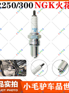MGK波速尔克维思恒舰越野摩托车宗申PR250PR300发动机DR8EA火花塞