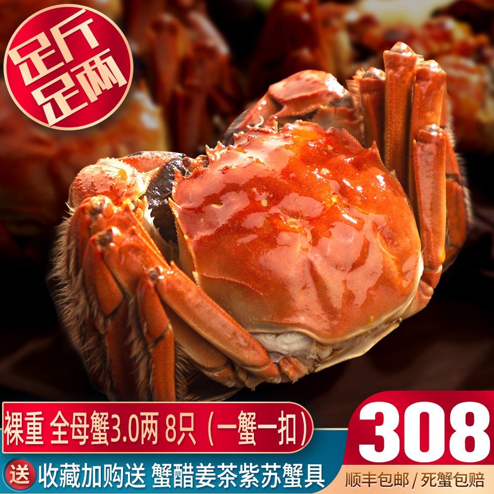 全母满黄裸重足量官方溯源蟹扣