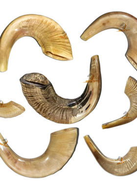 天霸烈角以色列公羊角号shofar羊角号角羊角吹号