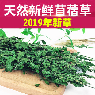 20年新苜蓿草兔子紫花苜蓿草干草兔草龙猫粮装 箱1KG土拨鼠荷兰猪