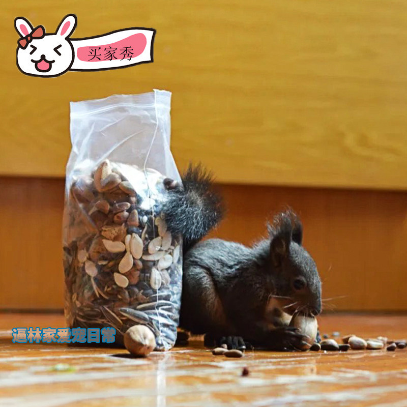 【逼林家】松鼠自配粮松鼠粮食腰果碧根果松塔包邮 松鼠食物