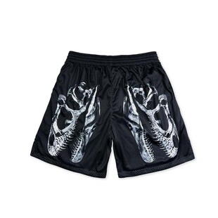 SD篮球运动斗者篮球服猛龙队街球服训练篮球裤街头速干短裤多伦多