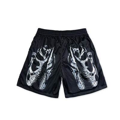 SD篮球运动斗者篮球服猛龙队街球服训练篮球裤街头速干短裤多伦多