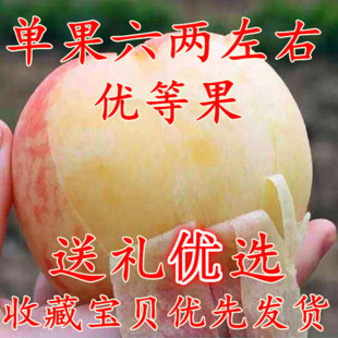 水蜜桃大果软桃桃子水果新鲜孕妇水果脆甜现货毛桃软糯香五斤包邮