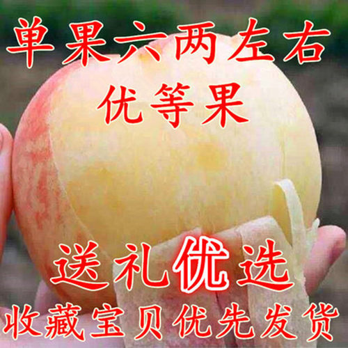 水蜜桃大果软桃桃子水果新鲜孕妇水果脆甜现货毛桃软糯香五斤包邮
