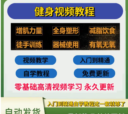 健身视频教程自学瘦腿瘦肚子增肌减脂减肥徒手器械锻炼训练资料