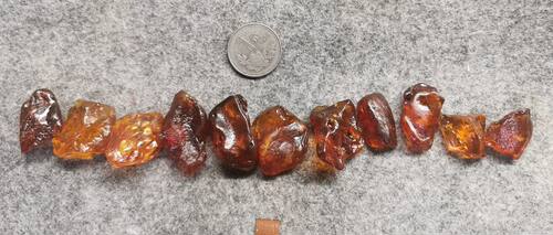 蜜蜡琥珀 虫珀 原石 各个有虫 尺寸见对比 2-6克 1-11