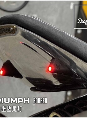 凯旋BOBBER改装复古机车极简坐垫尾灯短尾尾灯短尾牌照架泥瓦