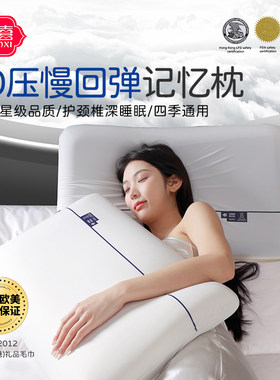 哑朵成人高密度记忆棉慢回弹枕芯