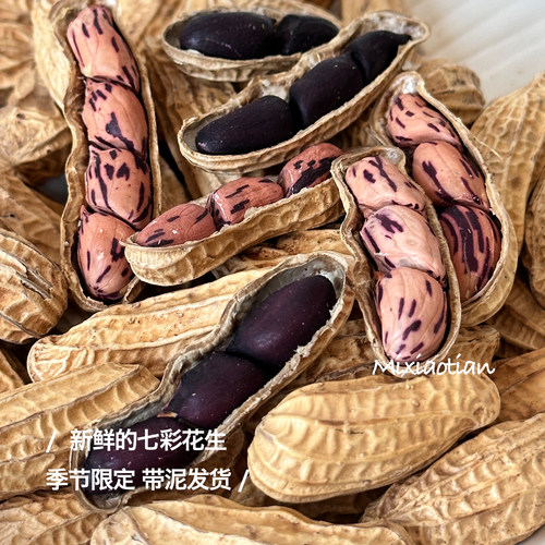 带泥发货新鲜七彩花生满花青素
